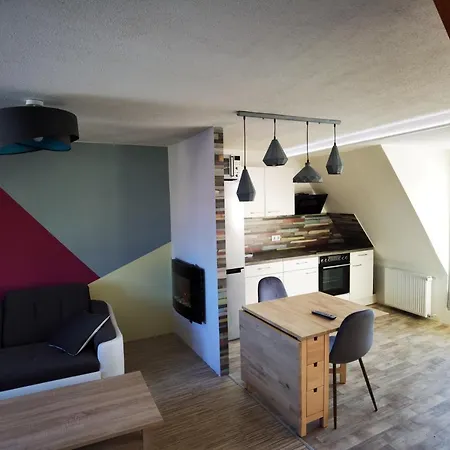 Gemuetliche Dachwohnung Mit Kleiner Oder Grosser Dachterrasse Nebeneinander * Wolmirstedt