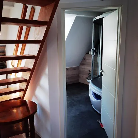 Gemuetliche Dachwohnung Mit Kleiner Oder Grosser Dachterrasse Nebeneinander Apartment Wolmirstedt