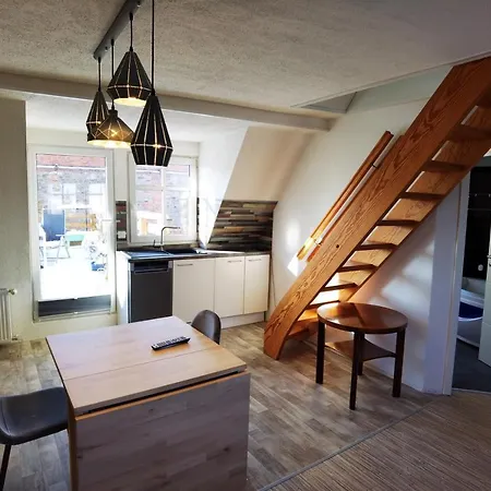 Gemuetliche Dachwohnung Mit Kleiner Oder Grosser Dachterrasse Nebeneinander * Wolmirstedt