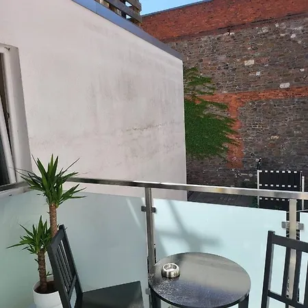 Gemuetliche Dachwohnung Mit Kleiner Oder Grosser Dachterrasse Nebeneinander * 沃梅尔斯泰德