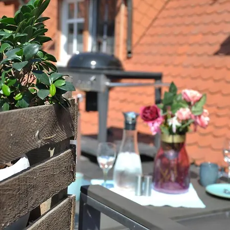 Gemuetliche Dachwohnung Mit Kleiner Oder Grosser Dachterrasse Nebeneinander Apartment Wolmirstedt