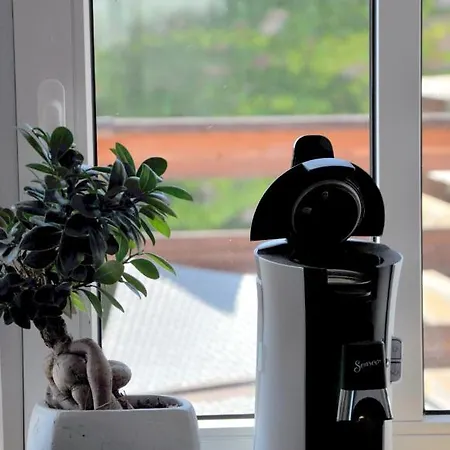Gemuetliche Dachwohnung Mit Kleiner Oder Grosser Dachterrasse Nebeneinander Wolmirstedt