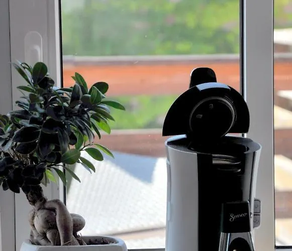 Gemuetliche Dachwohnung Mit Kleiner Oder Grosser Dachterrasse Nebeneinander Wolmirstedt